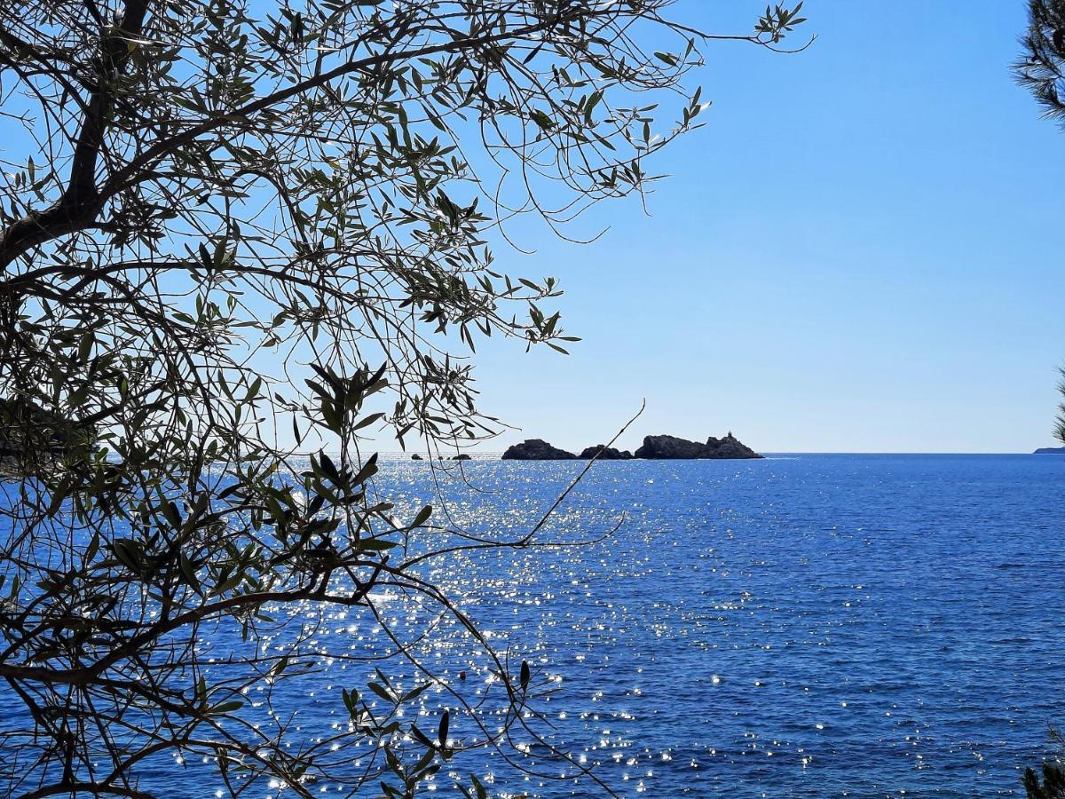 Blue Promenade Apartments Dubrovnik Exteriör bild